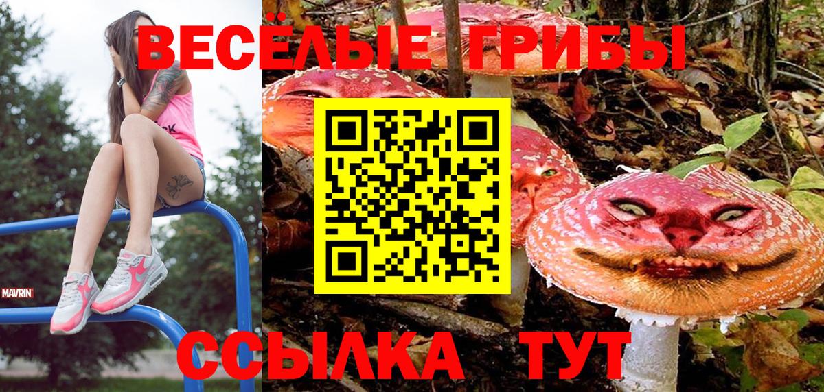 Воскресенск  Галлюциногенные грибы Psilocybe  Галлюциногенные грибы Psilocybine cubensis  дарнет шоп  Вход с VPN 