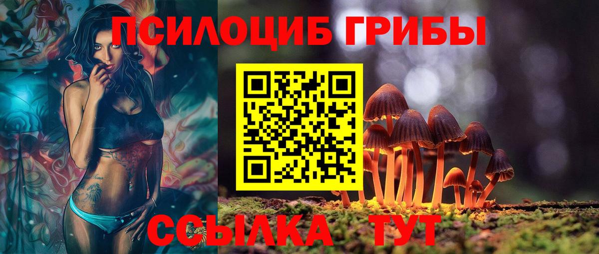Псилоцибиновые грибы Psilocybe Воскресенск